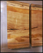 Load image into Gallery viewer, River Tree Triptych 2022