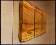 Load image into Gallery viewer, River Tree Triptych 2022