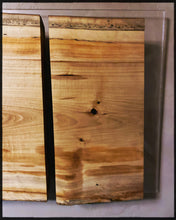 Load image into Gallery viewer, River Tree Triptych 2022