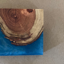 Load image into Gallery viewer, Ocean Locust Coaster Set
